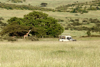 Mara North Wildlife 2016