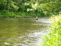 Farmington River 2