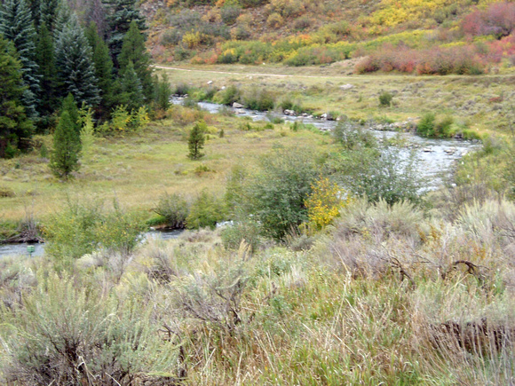 Yampa River - Stagecoach State Park Near Steamboat