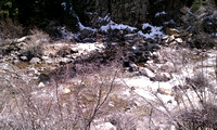 First Day Boulder Creek